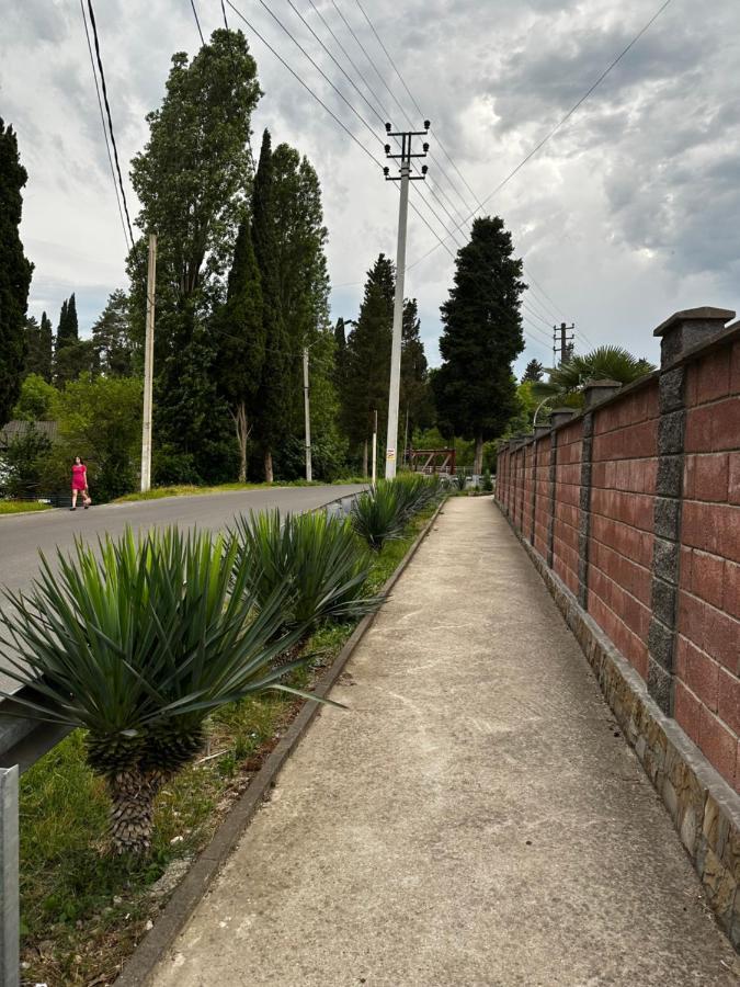 Anastasia Gudauta Exterior foto