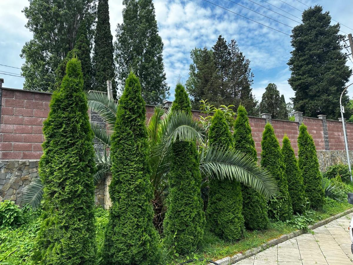 Anastasia Gudauta Exterior foto